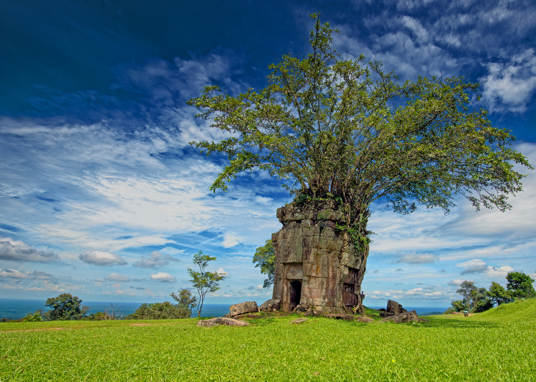 A tree covered shrine, Prasat Preah Vihear, Preah Vihear Province Cambodia