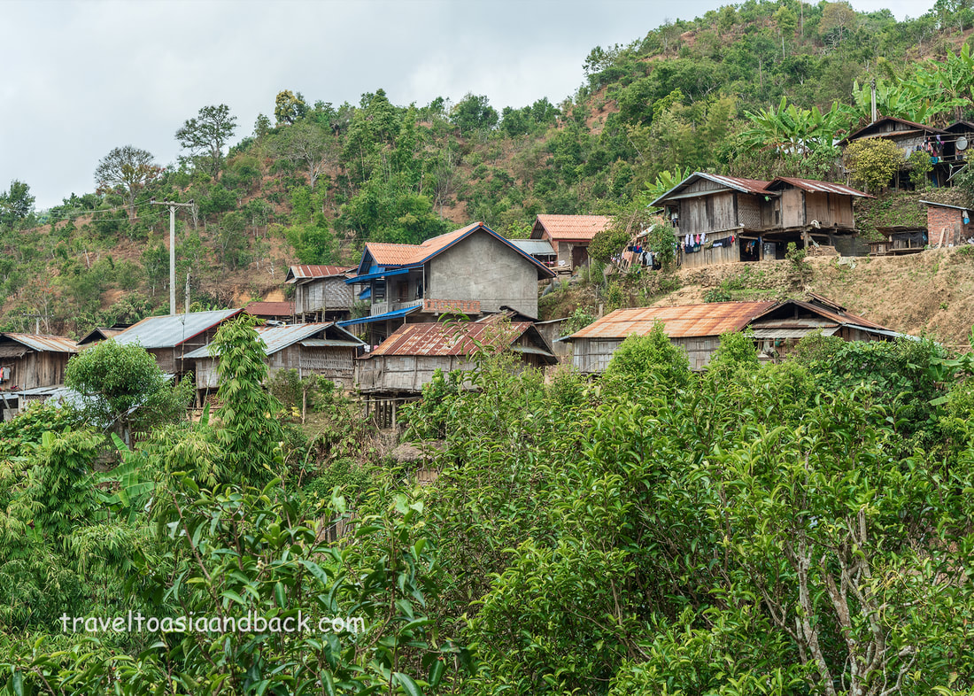 traveltoasiaandback.com - Tea trees, Ban Komaen Village, Phongsaly Province, Laos
