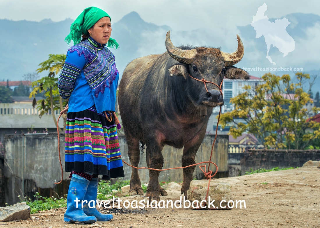 traveltoasiaandback.com -  A Flower Hmong woman selling buffalo at Bac Ha Sunday Market, Lao Cai Province, Vietnam