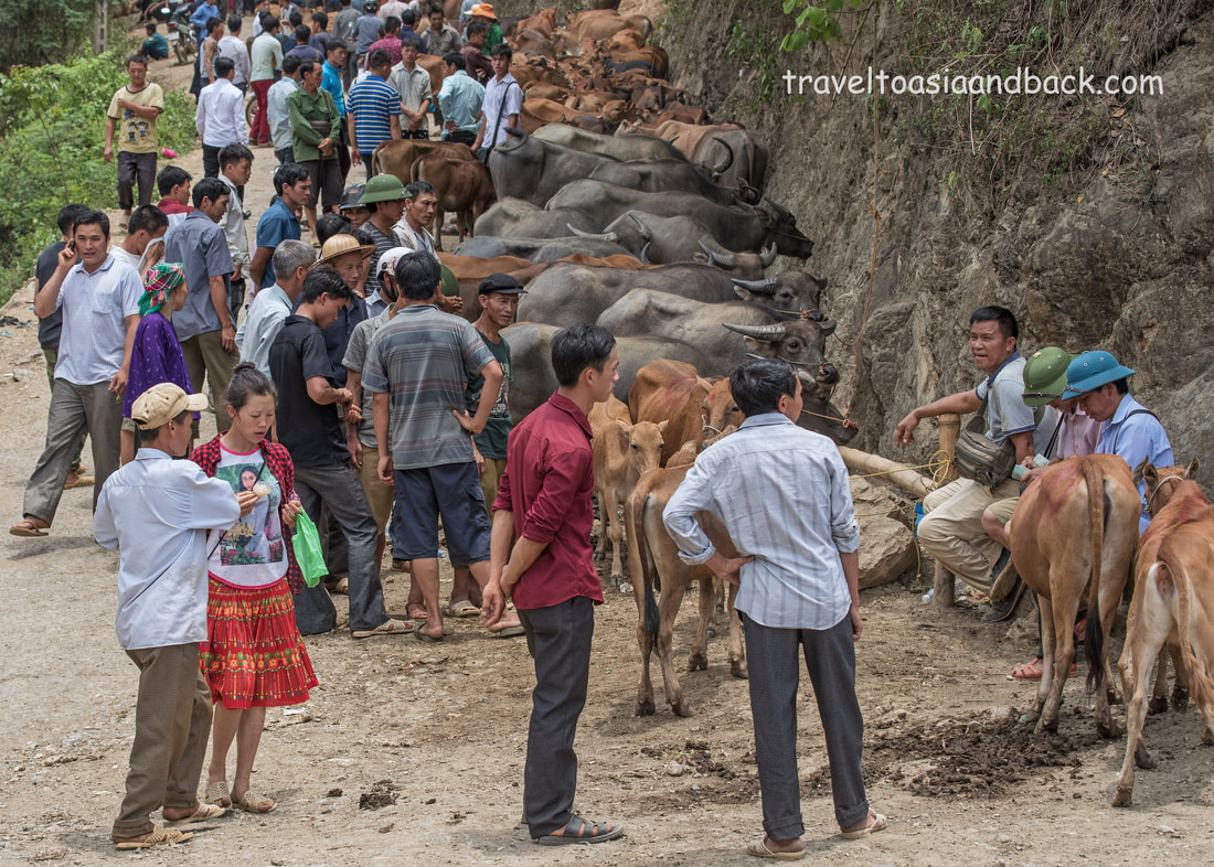 traveltoasiaandback.com - The old livestock market in Bao Lac, Cao Bang Province, Vietnam