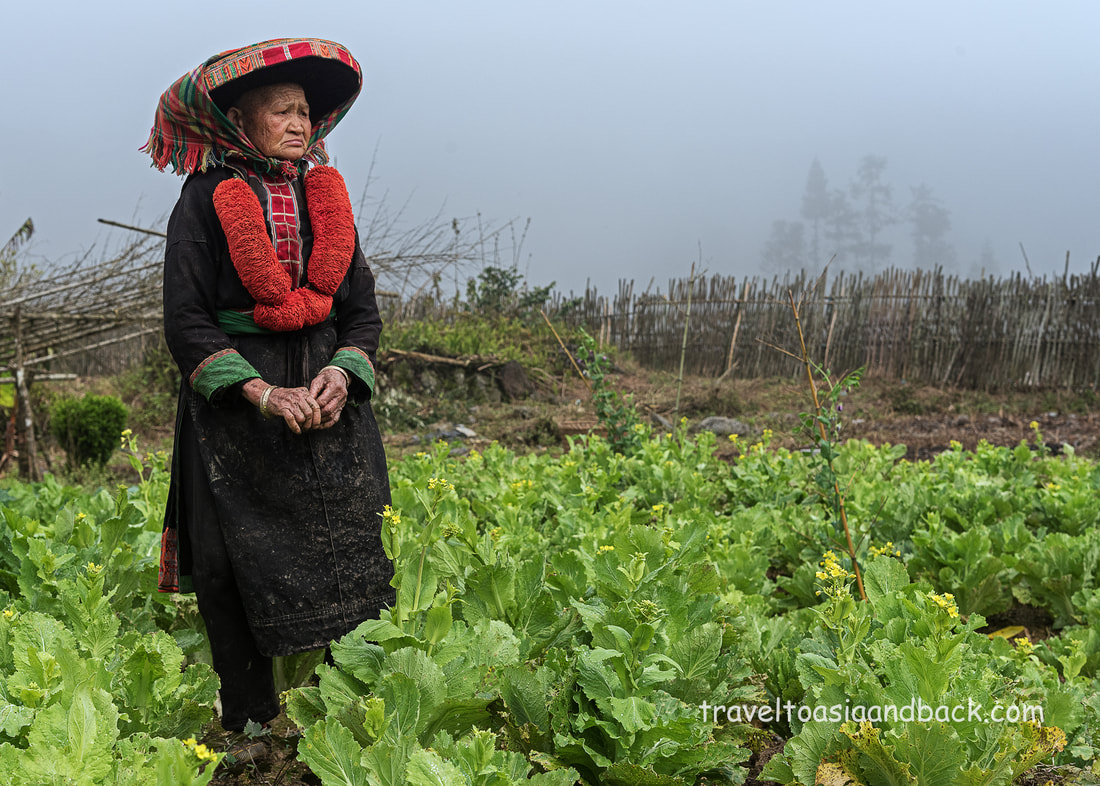 A Red Dao Woman in her garden. Lung Na, Bao Lac District, Cao Bang Province 