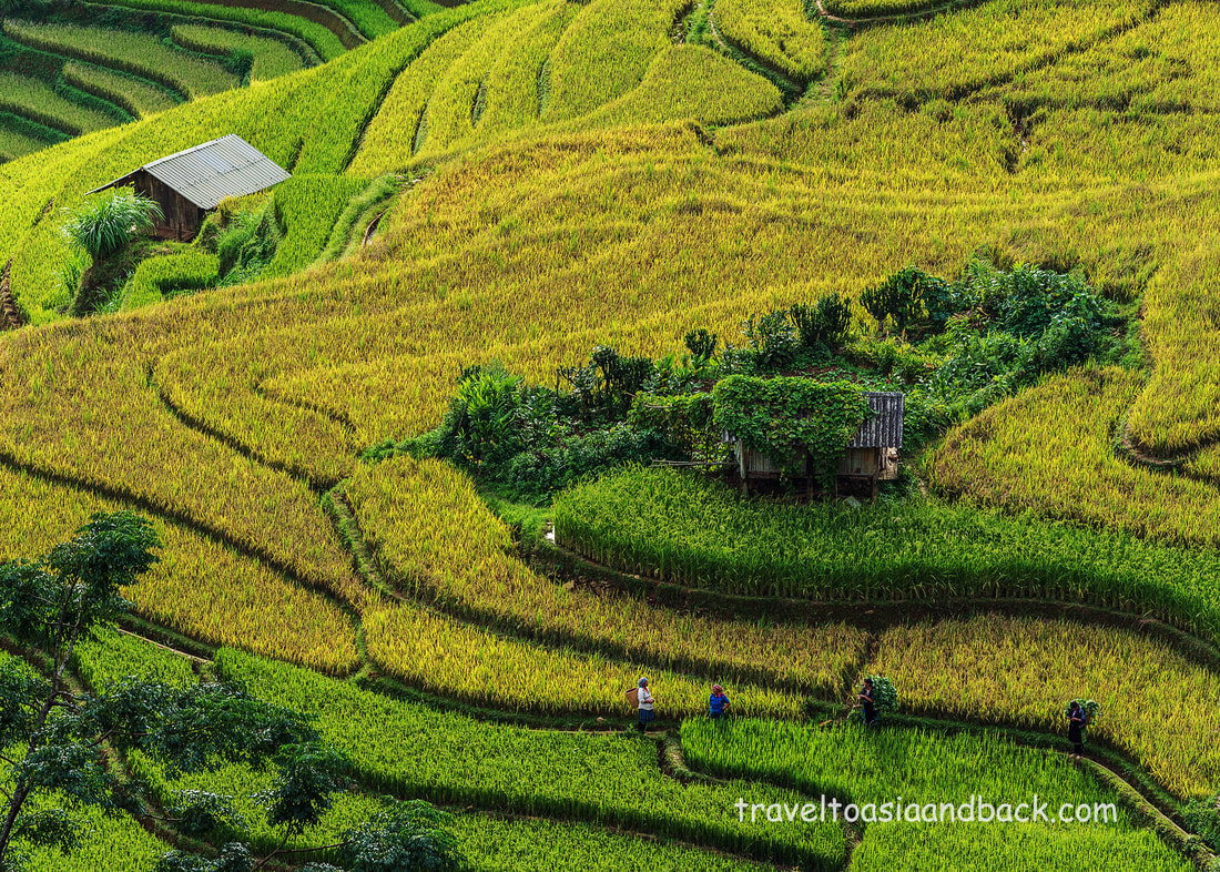 traveltoasiaandback.com - Đồi Mâm Xôi, (Raspberry Hill), Mu Cang Chai District, Yen Bai Province, Vietnam