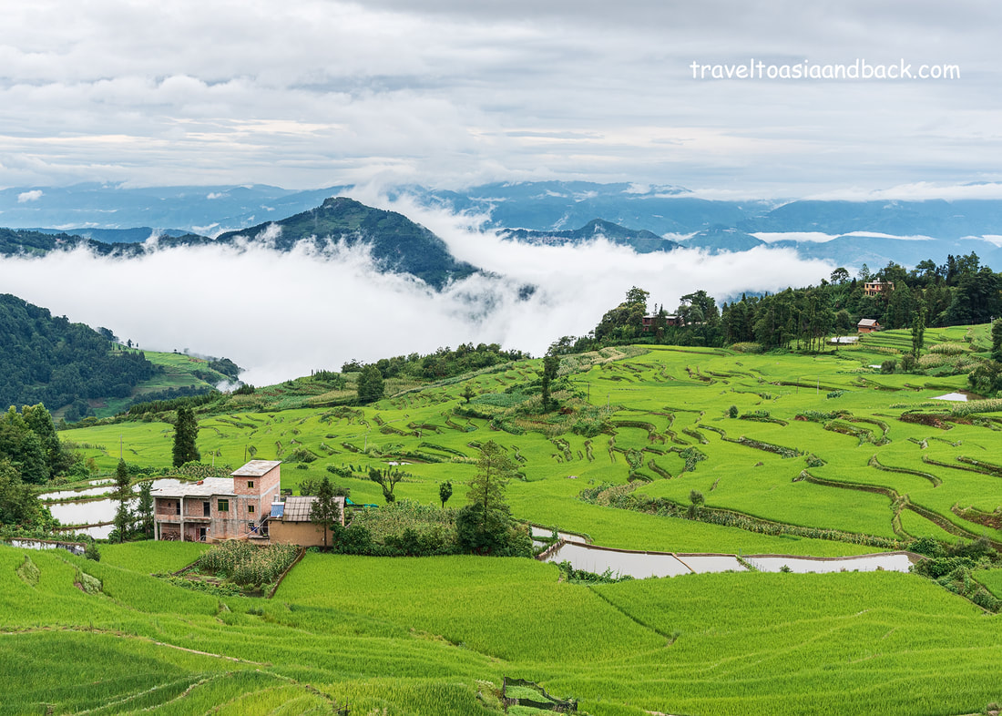 traveltoasiaandback.com - The Aichun rice terraces at the peak of 