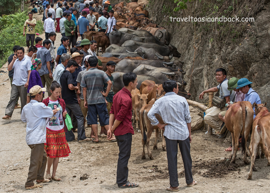 traveltoasiaandback - The old buffalo market in Bao Lac, Cao Bang Province