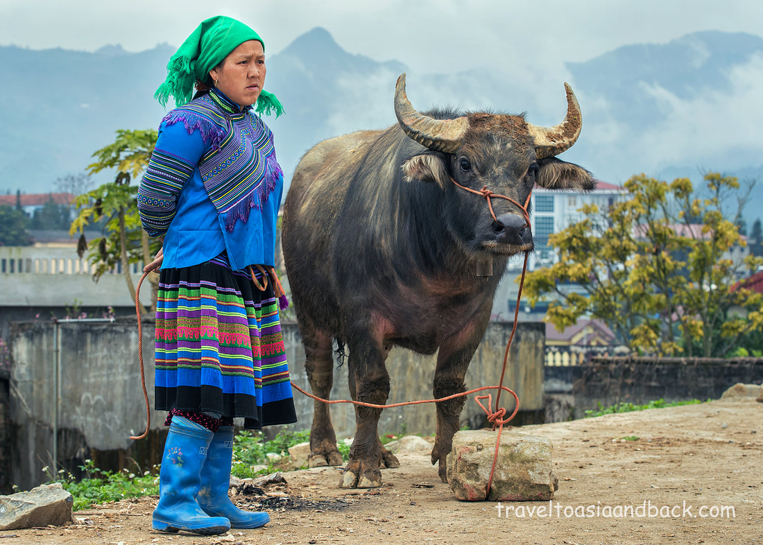 traveltoasiaandback.com -  A Flower Hmong woman selling buffalo at Bac Ha Sunday Market, Lao Cai Province, Vietnam