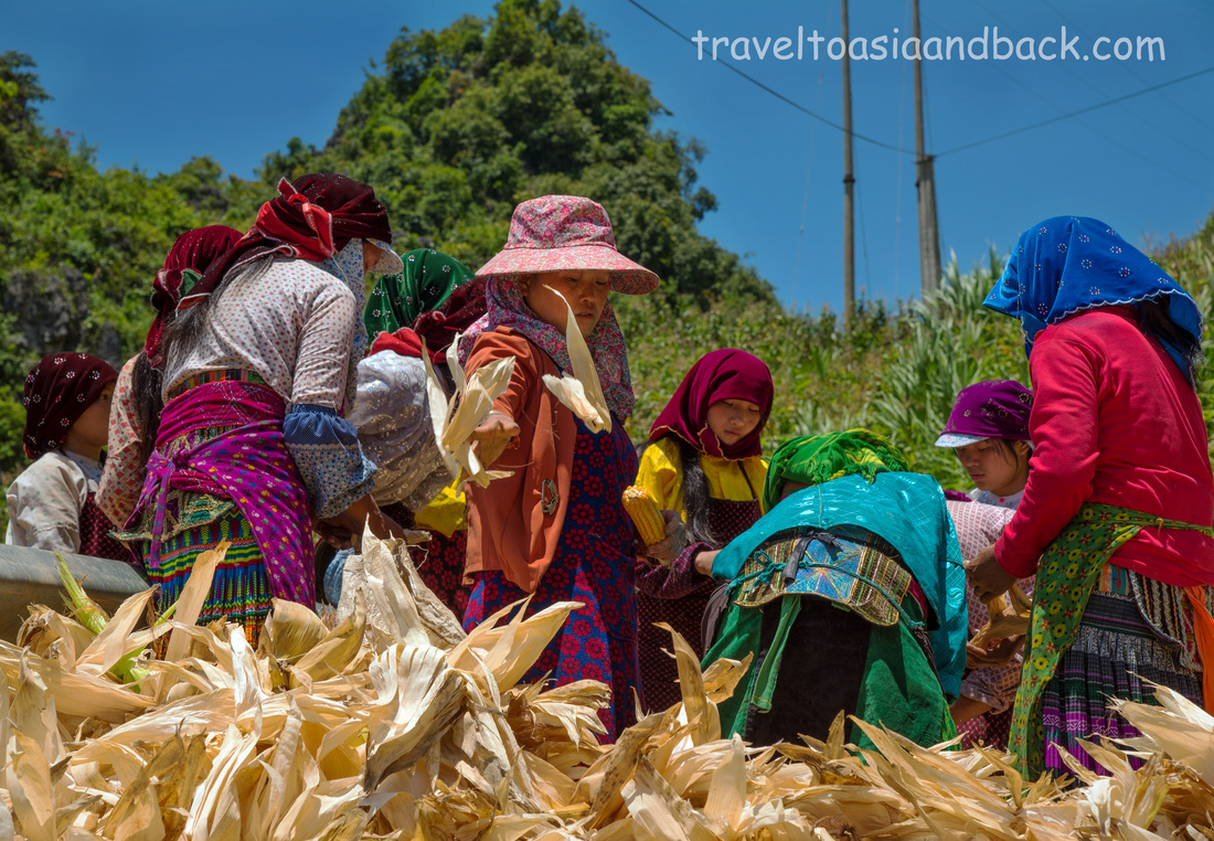 Shucking corn, near Dong Van, Hà Giang Province, Vietnam